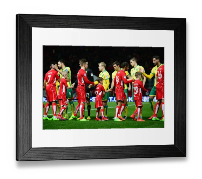 Framed Print : Mascots Shake Hands: Bristol City vs. Norwich City, Sky Bet Championship (07.03.17)