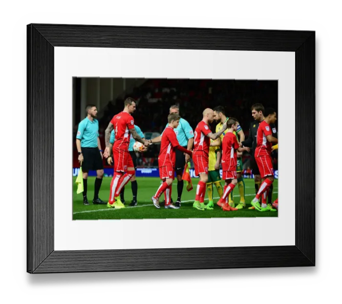Framed Print : Bristol City vs. Norwich City: Mascots Pre-Match Handshake - Sky Bet Championship (07.03.17)