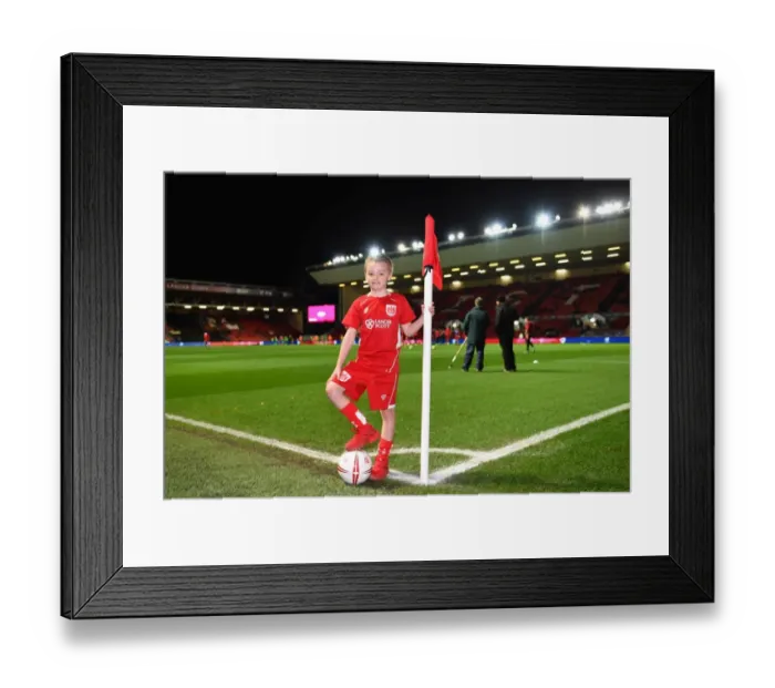 Framed Print : Sky Bet Championship Showdown: Bristol City vs Norwich City at Ashton Gate Framed Print : Sky Bet Championship Showdown: Bristol City vs Norwich City at Ashton Gate