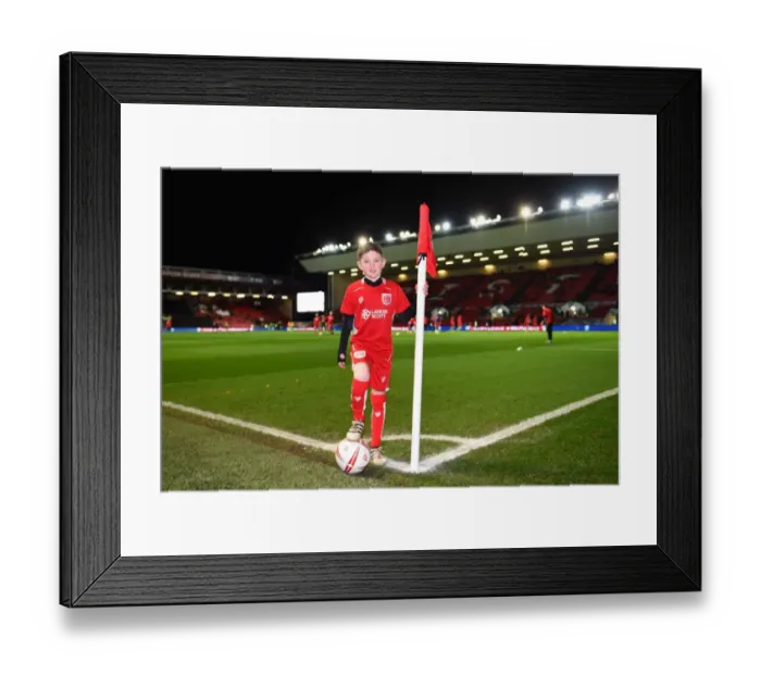 Framed Print : Sky Bet Championship Showdown: Bristol City vs Norwich City at Ashton Gate