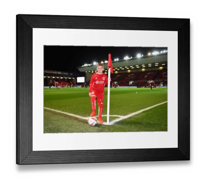 Framed Print : Sky Bet Championship Showdown: Bristol City vs Norwich City at Ashton Gate