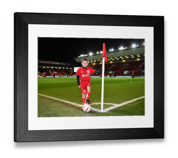 Framed Print : Sky Bet Championship Showdown: Bristol City vs Norwich City at Ashton Gate