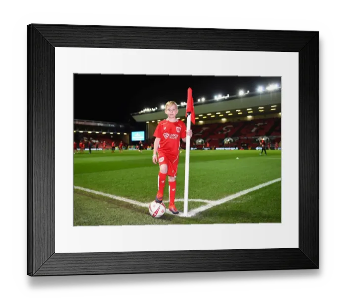 Framed Print : Sky Bet Championship Showdown: Bristol City vs Norwich City at Ashton Gate