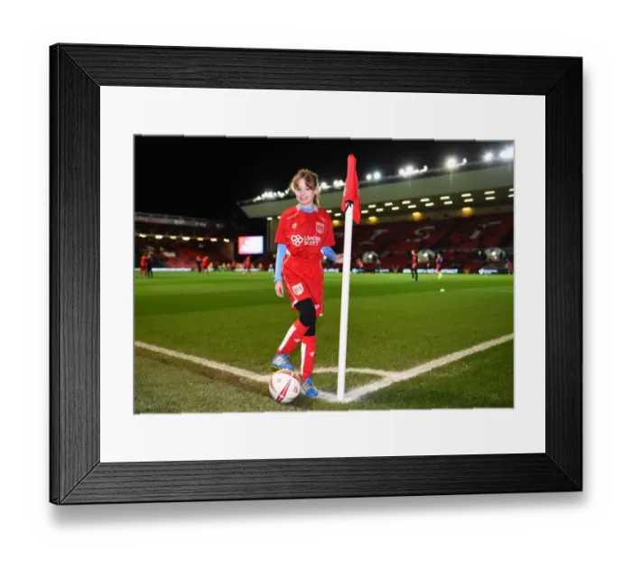 Framed Print : Sky Bet Championship Showdown: Bristol City vs Norwich City at Ashton Gate Framed Print : Sky Bet Championship Showdown: Bristol City vs Norwich City at Ashton Gate