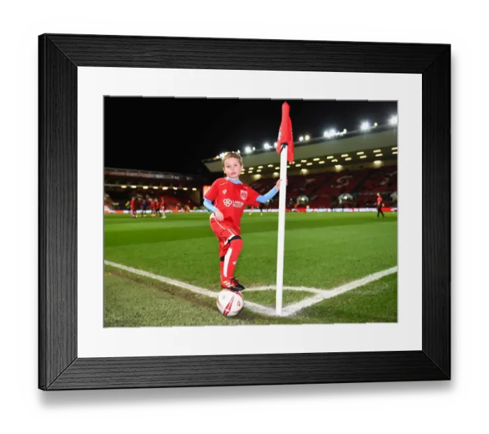 Framed Print : Sky Bet Championship Showdown: Bristol City vs Norwich City at Ashton Gate