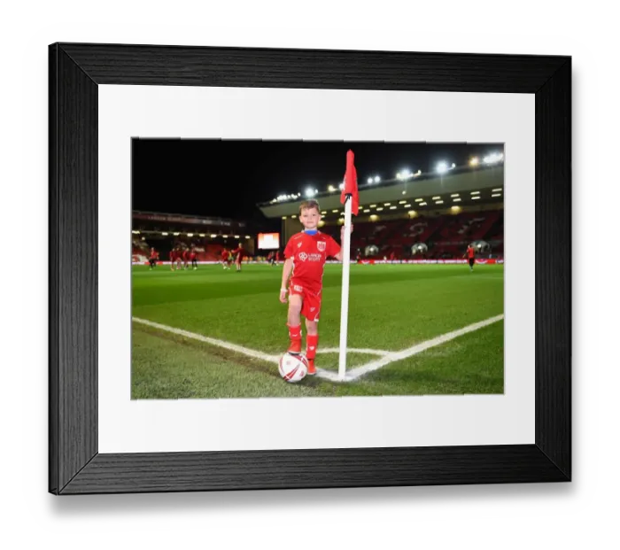 Framed Print : Bristol City v Sheffield Wednesday 310117
