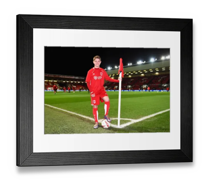 Framed Print : Sky Bet Championship Showdown: Bristol City vs Norwich City at Ashton Gate Framed Print : Sky Bet Championship Showdown: Bristol City vs Norwich City at Ashton Gate