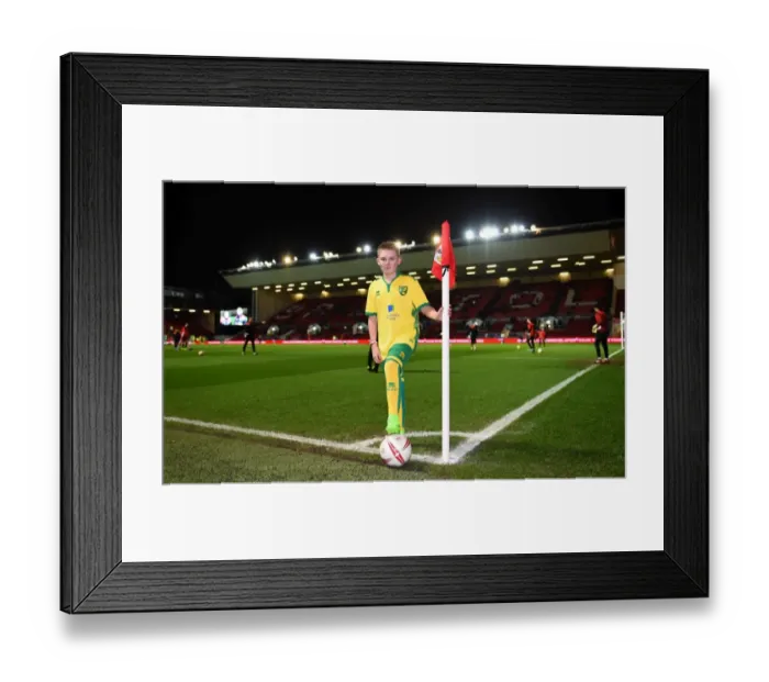 Framed Print : Sky Bet Championship Showdown: Bristol City vs Norwich City at Ashton Gate