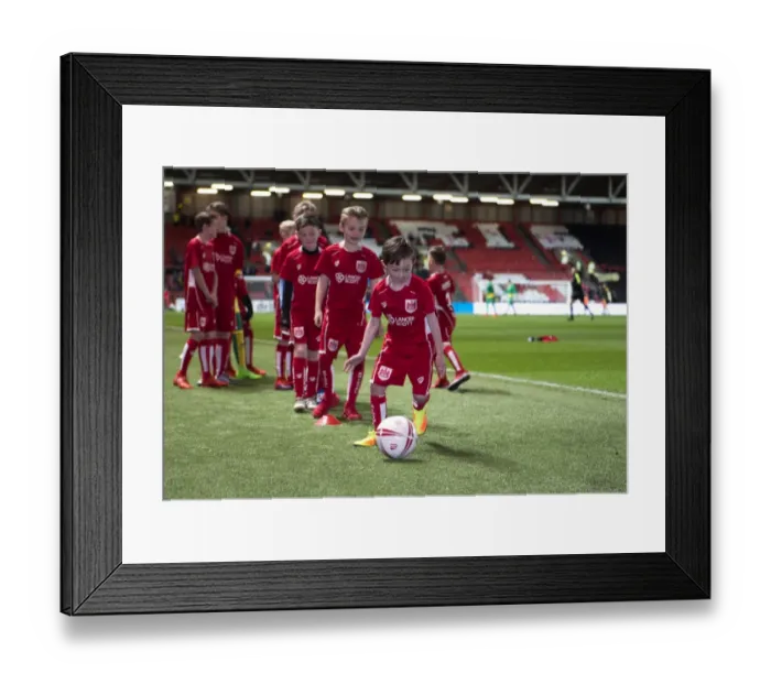 Framed Print : Bristol City vs Norwich City: Mascot at Ashton Gate for Sky Bet Championship Clash Framed Print : Bristol City vs Norwich City: Mascot at Ashton Gate for Sky Bet Championship Clash