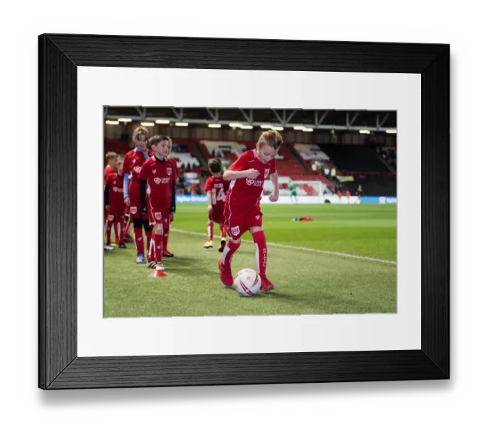 Framed Print : Sky Bet Championship Showdown: Bristol City vs Norwich City at Ashton Gate