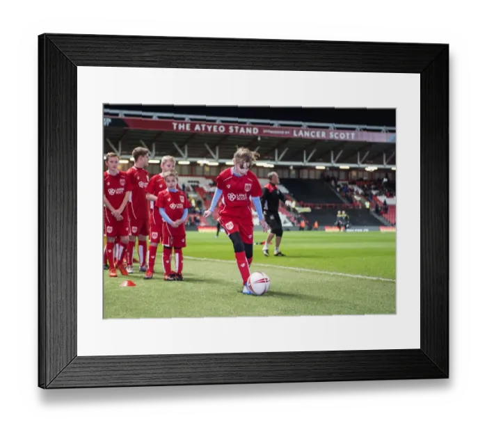 Framed Print : Sky Bet Championship Showdown: Bristol City vs Norwich City at Ashton Gate Framed Print : Sky Bet Championship Showdown: Bristol City vs Norwich City at Ashton Gate