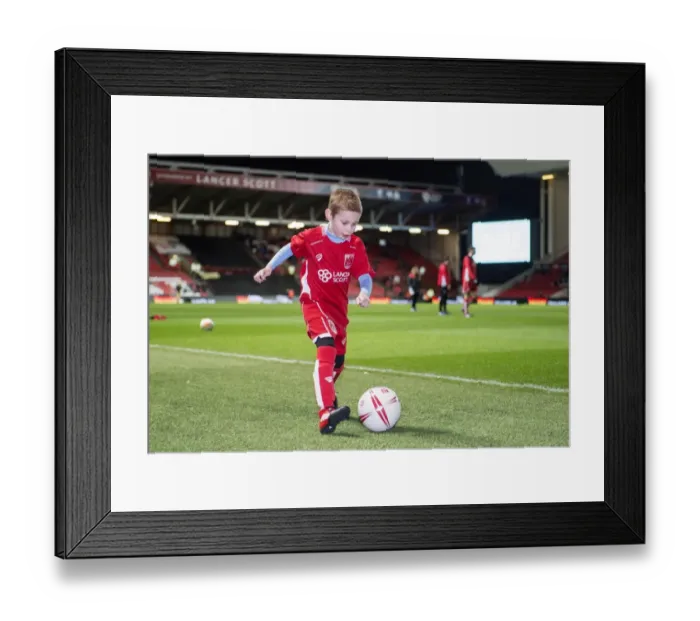 Framed Print : Sky Bet Championship Showdown: Bristol City vs Norwich City at Ashton Gate Framed Print : Sky Bet Championship Showdown: Bristol City vs Norwich City at Ashton Gate
