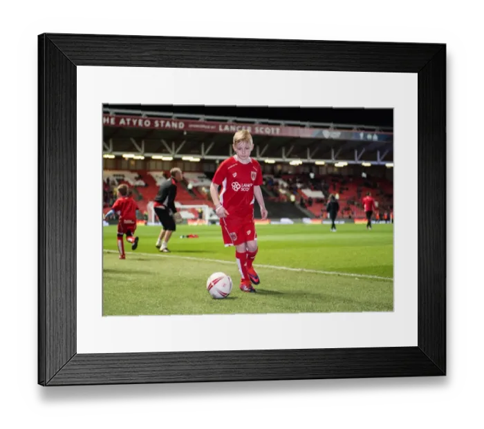 Framed Print : Sky Bet Championship Showdown: Bristol City vs. Norwich City at Ashton Gate Framed Print : Sky Bet Championship Showdown: Bristol City vs. Norwich City at Ashton Gate