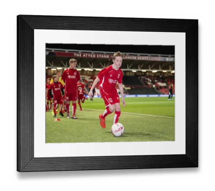 Framed Print : Sky Bet Championship Showdown: Bristol City vs Norwich City at Ashton Gate Framed Print : Sky Bet Championship Showdown: Bristol City vs Norwich City at Ashton Gate