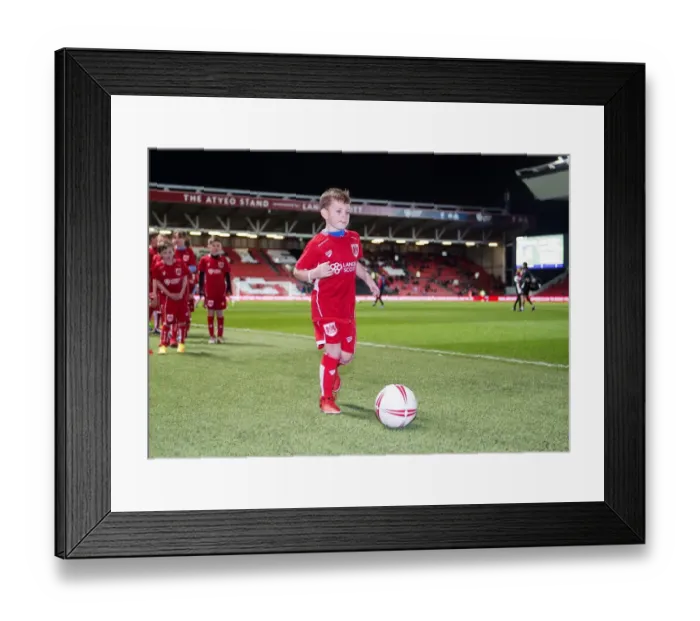 Framed Print : Sky Bet Championship Showdown: Bristol City vs Norwich City at Ashton Gate