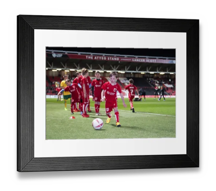 Framed Print : Sky Bet Championship Showdown: Mascots in Action - Bristol City vs Norwich City at Ashton Gate