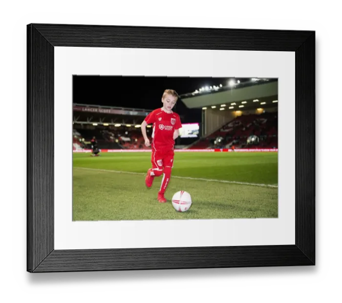 Framed Print : Sky Bet Championship Showdown: Bristol City vs Norwich City at Ashton Gate Framed Print : Sky Bet Championship Showdown: Bristol City vs Norwich City at Ashton Gate