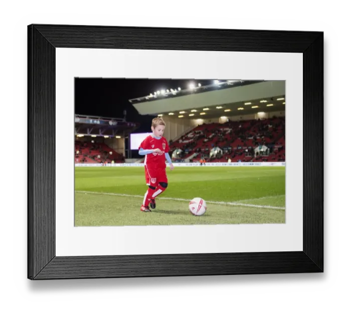 Framed Print : Sky Bet Championship Showdown: Bristol City vs Norwich City at Ashton Gate