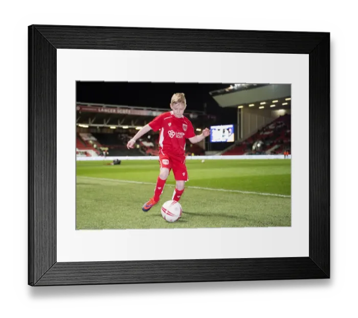 Framed Print : Sky Bet Championship Showdown: Bristol City vs Norwich City at Ashton Gate Framed Print : Sky Bet Championship Showdown: Bristol City vs Norwich City at Ashton Gate