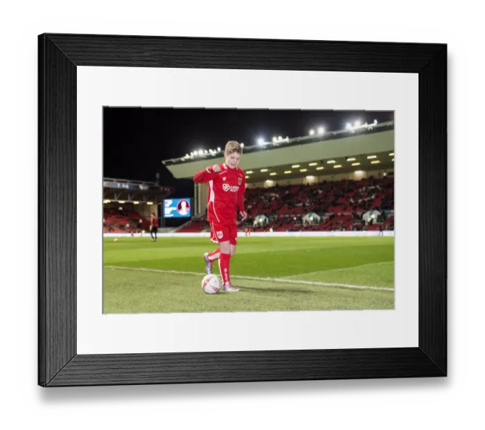 Framed Print : Sky Bet Championship Showdown: Bristol City vs Norwich City at Ashton Gate