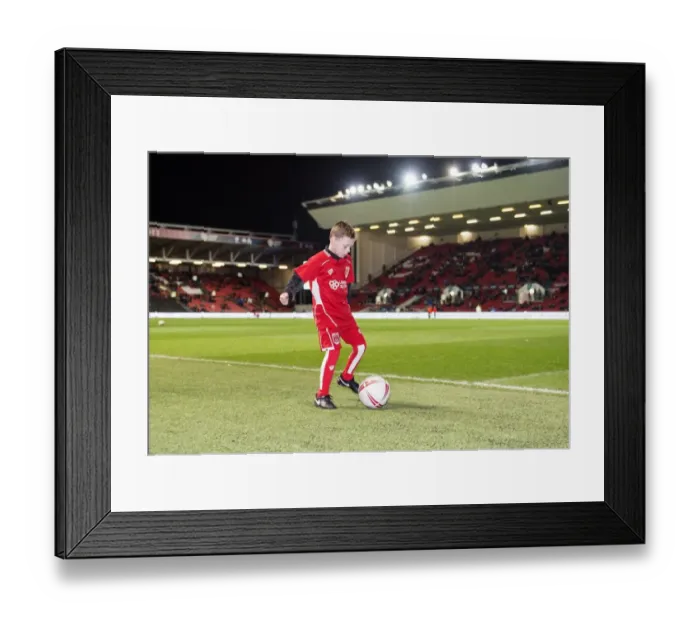 Framed Print : Sky Bet Championship Showdown: Bristol City vs Norwich City at Ashton Gate Framed Print : Sky Bet Championship Showdown: Bristol City vs Norwich City at Ashton Gate