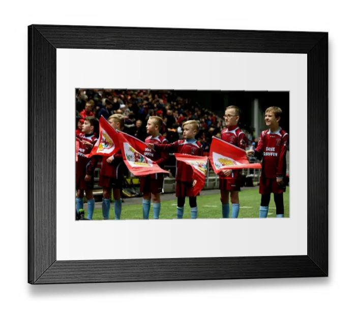Framed Print : Bristol City vs Norwich City: First Half Flag Bearers, Ashton Gate, 2017 Framed Print : Bristol City vs Norwich City: First Half Flag Bearers, Ashton Gate, 2017