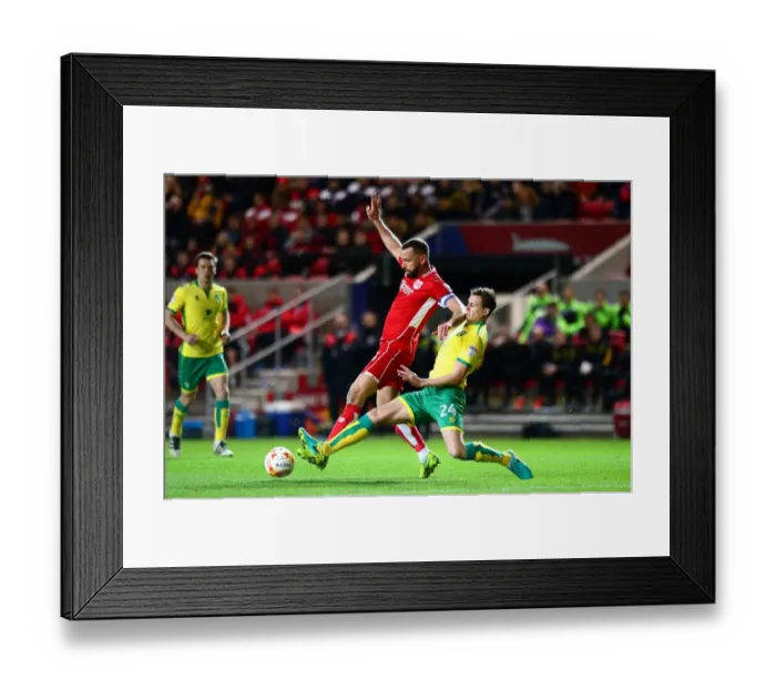 Framed Print : Bristol City vs. Norwich City: Intense Moment between Wilbraham and Bennett