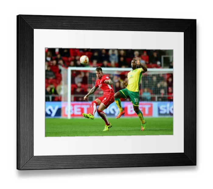 Framed Print : Aden Flint Clears Ball from Cameron Jerome: Intense Moment at Ashton Gate, Bristol City vs Norwich City Framed Print : Aden Flint Clears Ball from Cameron Jerome: Intense Moment at Ashton Gate, Bristol City vs Norwich City
