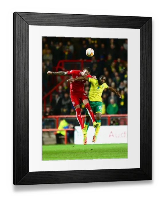 Framed Print : Aden Flint vs. Cameron Jerome: Heading Battle at Ashton Gate - Bristol City vs. Norwich City, Sky Bet Championship Framed Print : Aden Flint vs. Cameron Jerome: Heading Battle at Ashton Gate - Bristol City vs. Norwich City, Sky Bet Championship