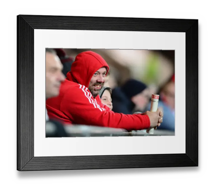 Framed Print : Bristol City vs Norwich City: A Championship Showdown at Ashton Gate (March 7, 2017)