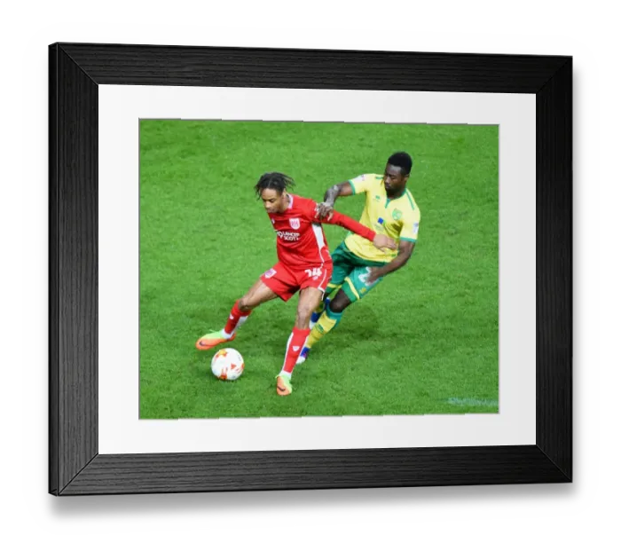 Framed Print : Bristol City vs Norwich City: Bobby Reid Faces Off Against Alexander Tettey Framed Print : Bristol City vs Norwich City: Bobby Reid Faces Off Against Alexander Tettey
