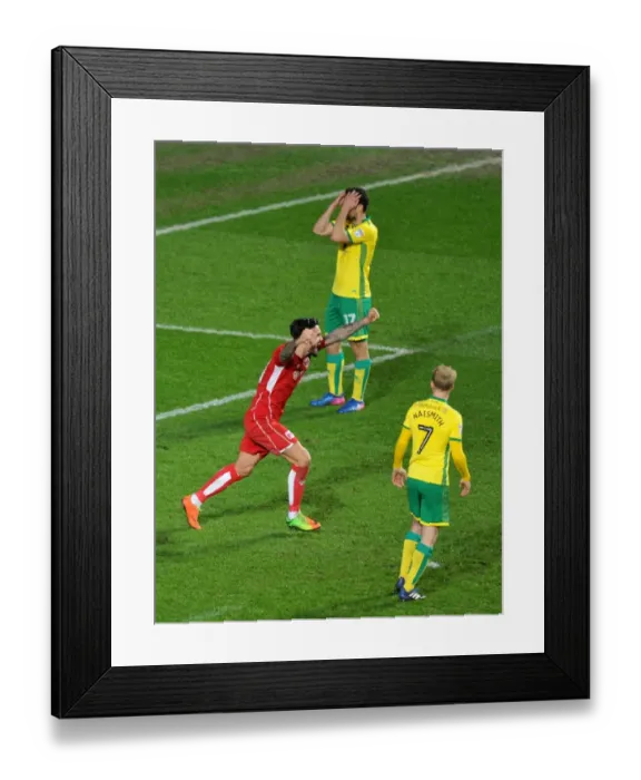 Framed Print : Marlon Pack Celebrates Bailey Wright's Equalizer: Bristol City vs. Norwich City, Sky Bet Championship (07 / 03 / 2017) Framed Print : Marlon Pack Celebrates Bailey Wright's Equalizer: Bristol City vs. Norwich City, Sky Bet Championship (07 / 03 / 2017)