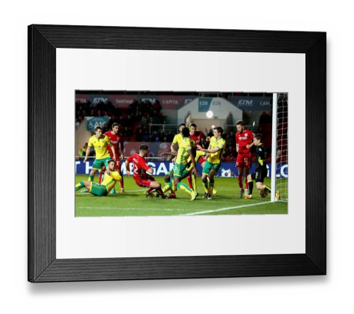 Framed Print : Dramatic Equalizer: Bailey Wright Scores for Bristol City Against Norwich City in Sky Bet Championship Framed Print : Dramatic Equalizer: Bailey Wright Scores for Bristol City Against Norwich City in Sky Bet Championship