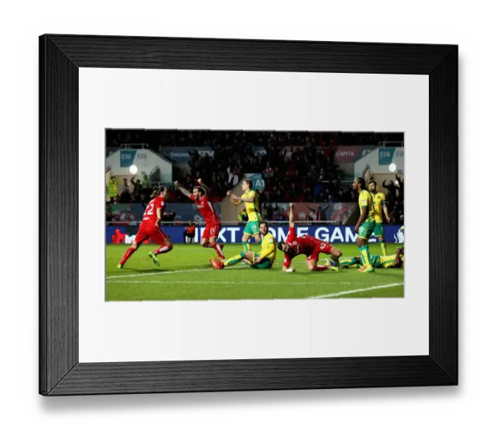 Framed Print : Bailey Wright's Equalizer: Bristol City vs Norwich City in Sky Bet Championship (07 / 03 / 2017)