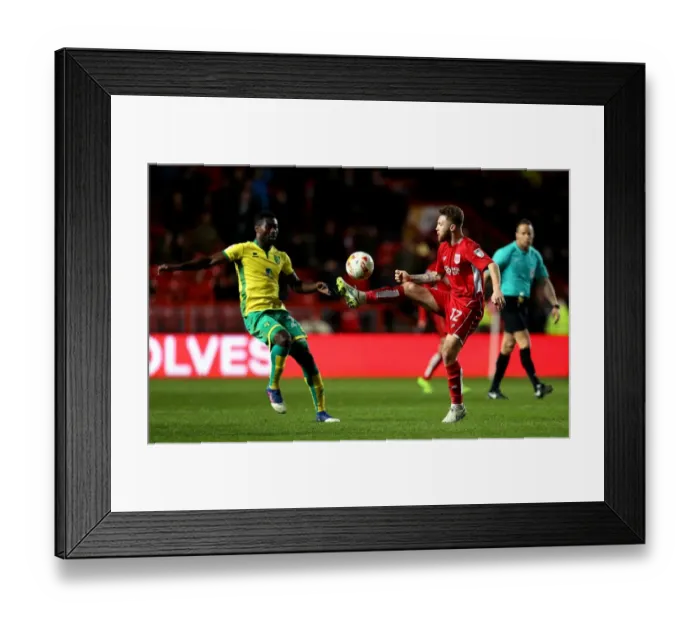 Framed Print : Bristol City's Matt Taylor in Control: A Pivotal Moment at Ashton Gate during Bristol City vs Norwich City, Sky Bet Championship Match, 2017 Framed Print : Bristol City's Matt Taylor in Control: A Pivotal Moment at Ashton Gate during Bristol City vs Norwich City, Sky Bet Championship Match, 2017