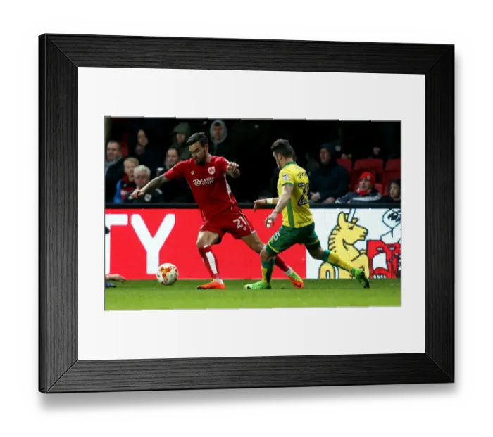 Framed Print : Marlon Pack vs Ivo Pinto Clash: Bristol City vs Norwich City, Sky Bet Championship, Ashton Gate, 2017 Framed Print : Marlon Pack vs Ivo Pinto Clash: Bristol City vs Norwich City, Sky Bet Championship, Ashton Gate, 2017