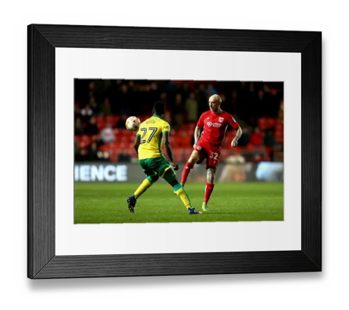 Framed Print : Bristol City's David Cotterill in Action Against Norwich City, Sky Bet Championship (March 7, 2017) Framed Print : Bristol City's David Cotterill in Action Against Norwich City, Sky Bet Championship (March 7, 2017)