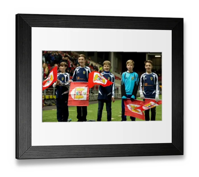 Framed Print : Half Time Flag Bearers: Bristol City vs. Norwich City, Sky Bet Championship (07.03.17)