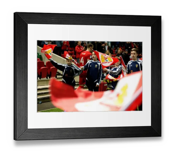Framed Print : Half Time Flag Bearers at Ashton Gate: Bristol City vs. Norwich City, Sky Bet Championship Framed Print : Half Time Flag Bearers at Ashton Gate: Bristol City vs. Norwich City, Sky Bet Championship