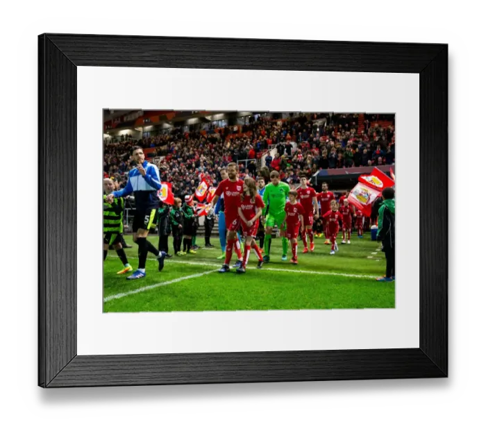 Framed Print : Bristol City vs Huddersfield Town Mascot Clash in Sky Bet EFL Championship Match, Ashton Gate Framed Print : Bristol City vs Huddersfield Town Mascot Clash in Sky Bet EFL Championship Match, Ashton Gate