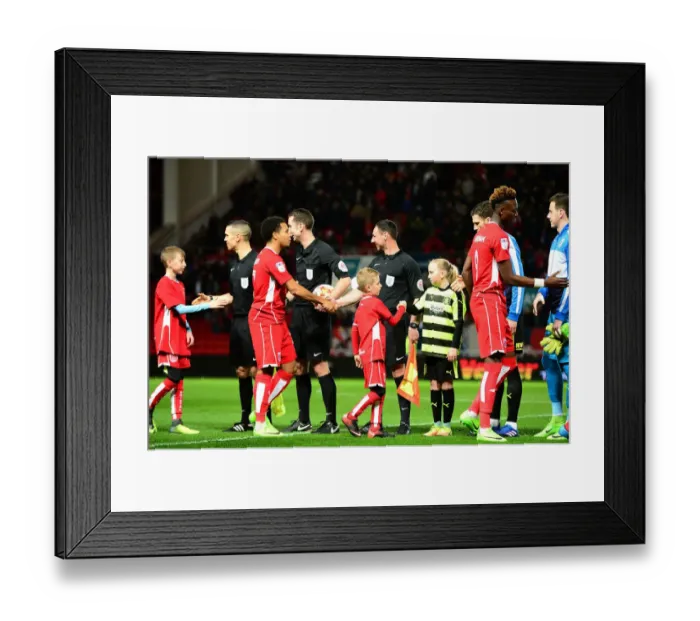 Framed Print : Bristol City Mascots Shake Hands at Ashton Gate - Sky Bet Championship Match