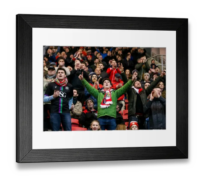 Framed Print : Bristol City's 4-0 Victory: Fans Celebrate David Cotterill's Penalty at Ashton Gate