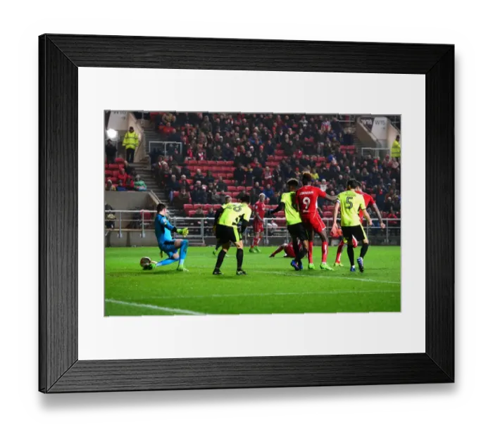 Framed Print : Aden Flint Scores the Winning Goal: Bristol City vs. Huddersfield Town, Sky Bet Championship (17 March 2017)