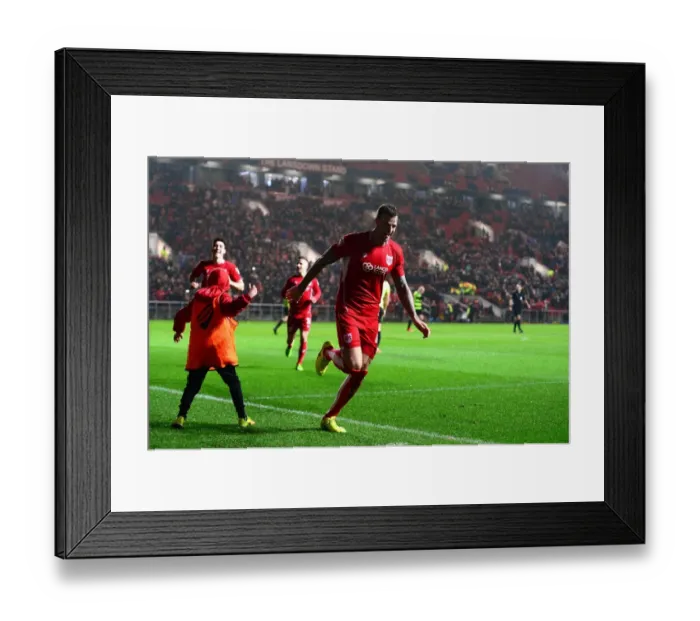 Framed Print : Aden Flint's Goal Celebration: Bristol City vs. Huddersfield Town, Sky Bet Championship (17 March 2017) Framed Print : Aden Flint's Goal Celebration: Bristol City vs. Huddersfield Town, Sky Bet Championship (17 March 2017)