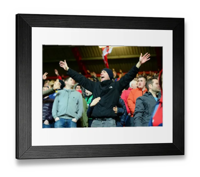 Framed Print : Bristol City FC: Thrilling Championship Victory - Fans Celebrate at Ashton Gate Framed Print : Bristol City FC: Thrilling Championship Victory - Fans Celebrate at Ashton Gate