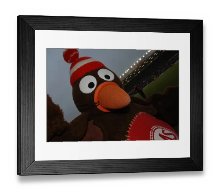 Framed Print : Bristol City vs. Nottingham Forest: A Football Rivalry - 08-09 Season Framed Print : Bristol City vs. Nottingham Forest: A Football Rivalry - 08-09 Season
