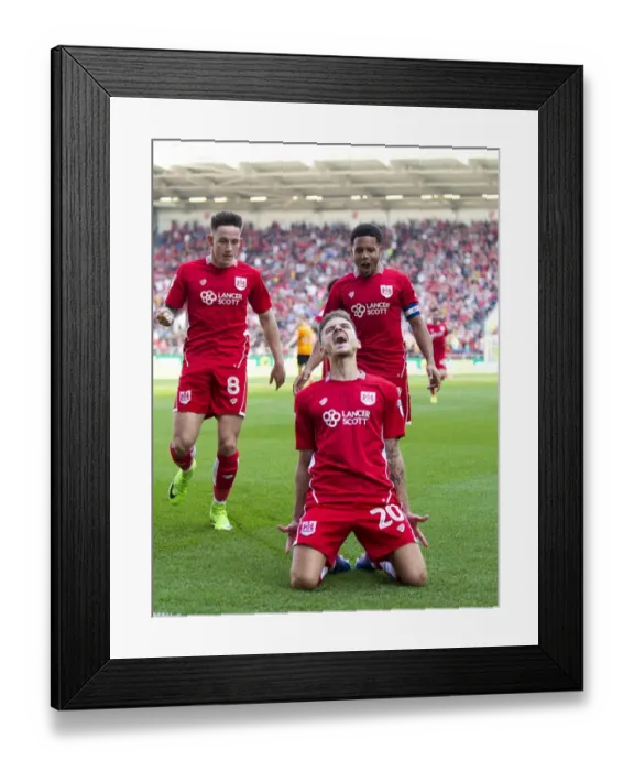 Framed Print : Bristol City v Wolverhampton Wanderers 080417 Framed Print : Bristol City v Wolverhampton Wanderers 080417