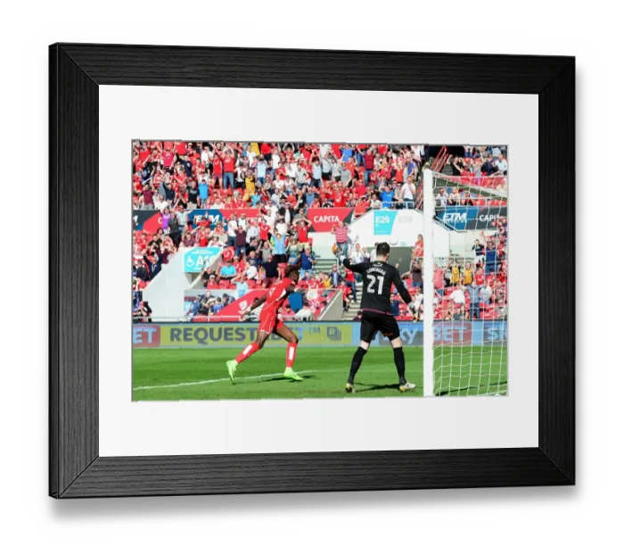 Framed Print : Tammy Abraham's Historic Goal: Bristol City's Upset Victory Over Wolverhampton Wanderers (08-04-2017)