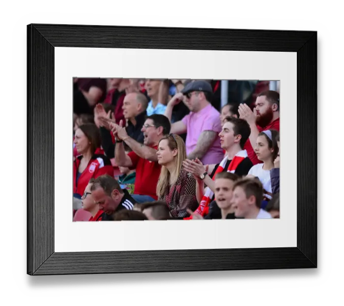 Framed Print : Championship Showdown: Bristol City vs. Wolverhampton Wanderers at Ashton Gate Framed Print : Championship Showdown: Bristol City vs. Wolverhampton Wanderers at Ashton Gate