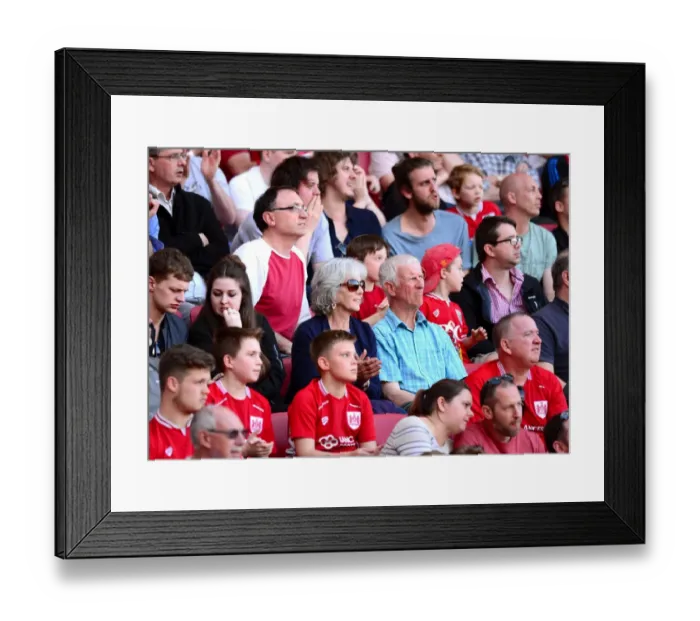 Framed Print : Sky Bet Championship Showdown: Battle at Ashton Gate - Bristol City vs. Wolverhampton Wanderers (April 2017) Framed Print : Sky Bet Championship Showdown: Battle at Ashton Gate - Bristol City vs. Wolverhampton Wanderers (April 2017)